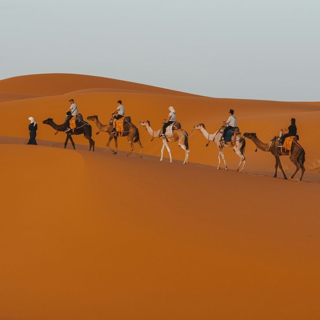 8-Day Sahara Tour from Marrakech to Fes
