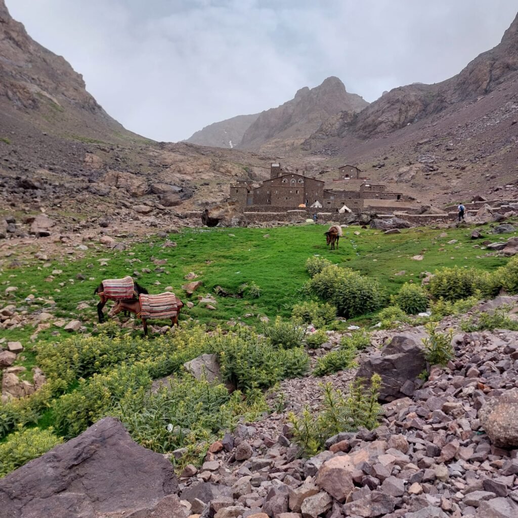 Mount Toubkal Summit Trek – 3 Days with Acclimatization
