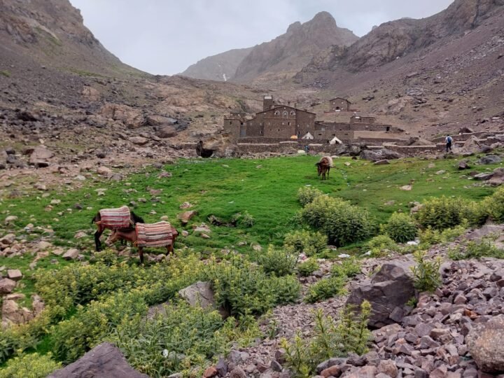 Mount Toubkal Summit Trek – 3 Days with Acclimatization