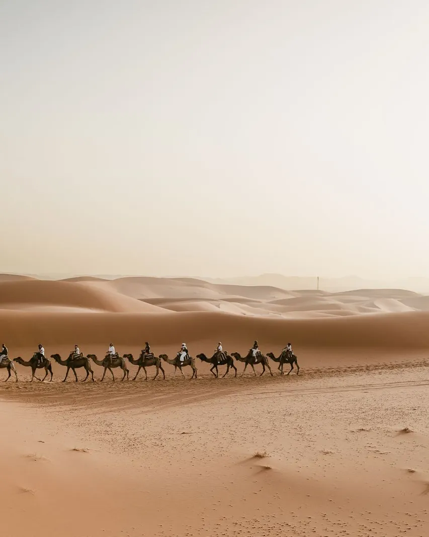 Camel caravan crossing the Erg Chebbi dunes near Merzouga