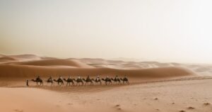 6-Day Atlantic, High Atlas & Sahara Tour
